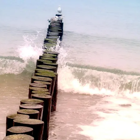 דירה Bsw-ferienwohnungen Ostseebad Kühlungsborn